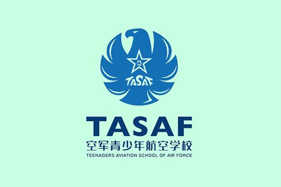 空軍青少年航空學校標志VI設計
